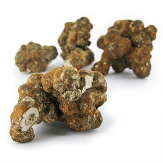 magic-truffels-utopia
