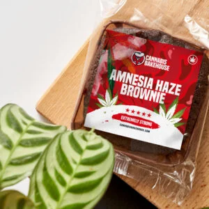 Brownie Haze Amnesia
