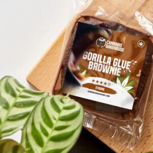Brownie alla colla di Gorilla