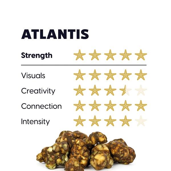 atlantis-1-scala