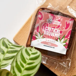 Brownie critico