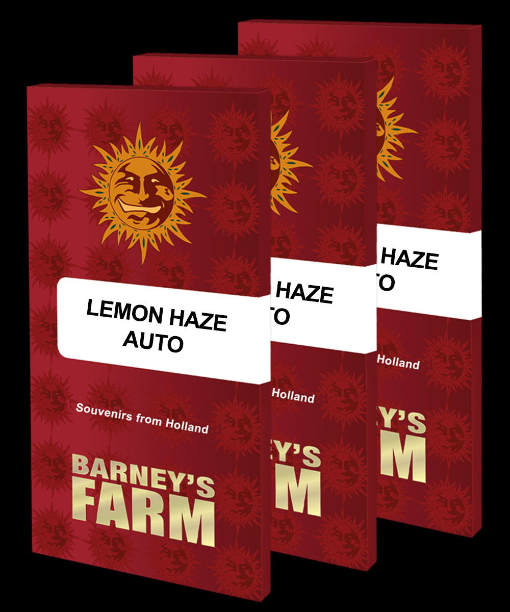 Lemon-Haze-auto_packet_large_seeds