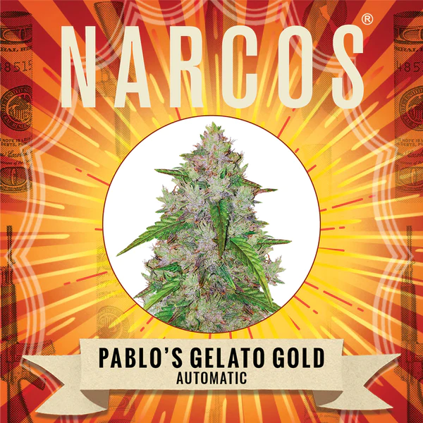 Pablos Gelato Gold