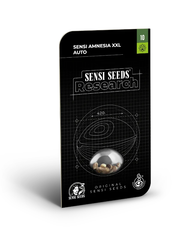 0000090_sensi-amnesia-xxl-semillas-automaticas_800