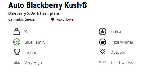 Capture d'écran 2024/12/02 124102