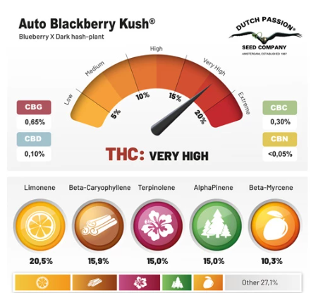 Capture d'écran 2024/12/02 124120