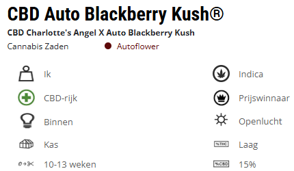 Capture d'écran 2024/12/02 152142