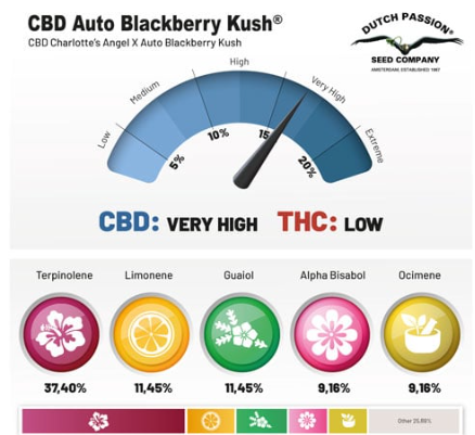 Capture d'écran 2024/12/02 152200