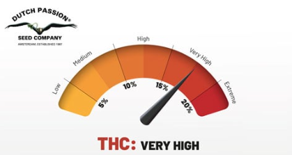 Capture d'écran 2024/12/03 083037