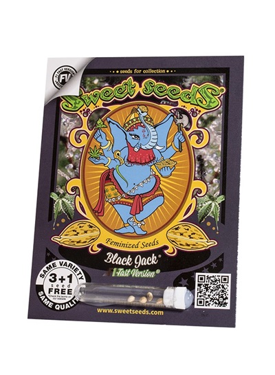 black-jack-f1-fast-version (1)