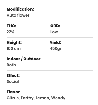 Schermafbeelding 2025-04-02 152500