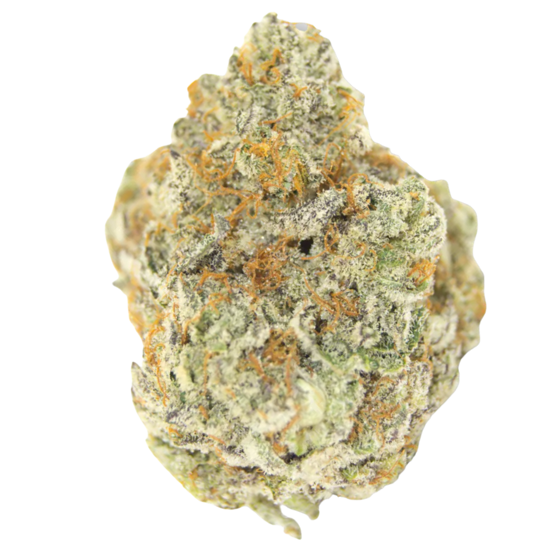 permanent_white_marker_fem_growers_choice_nederland_1_