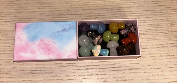 WhatsApp Image 2025-11-18 at 10.46.54