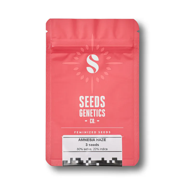 amnesia-haze-fem-768×768