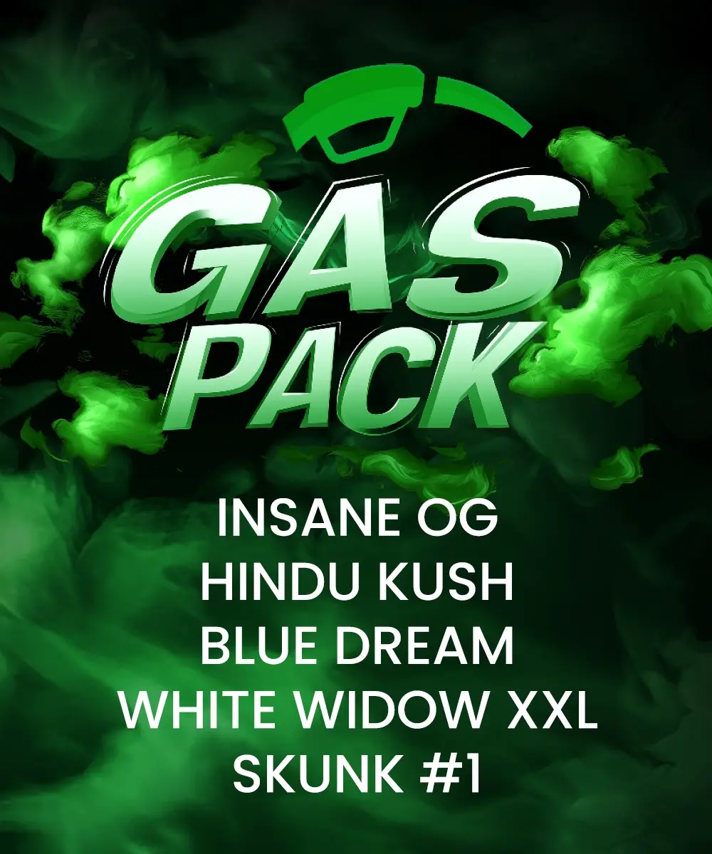 __gas-pack_circle_new_21_554309