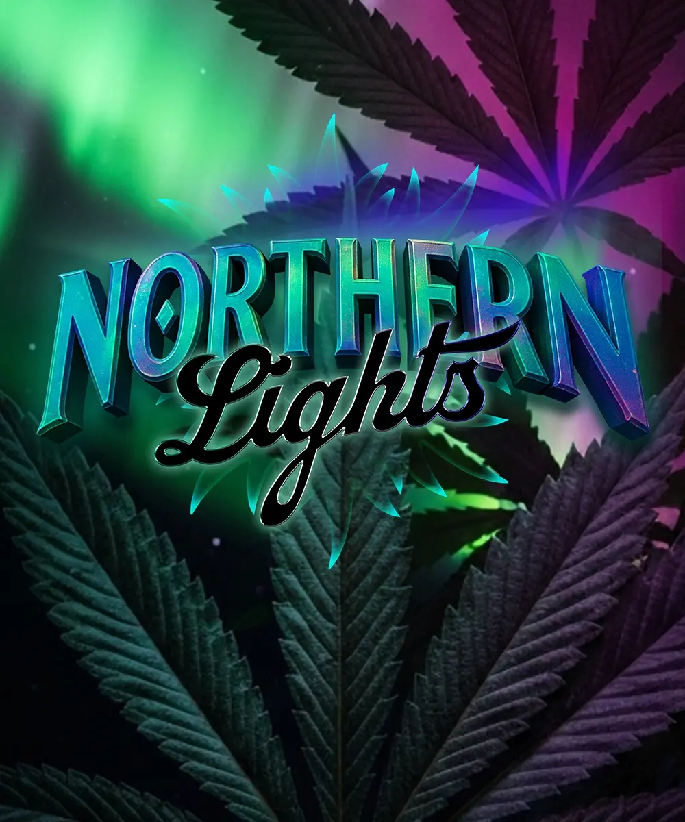 __northern-lights_circle_new_21_632547