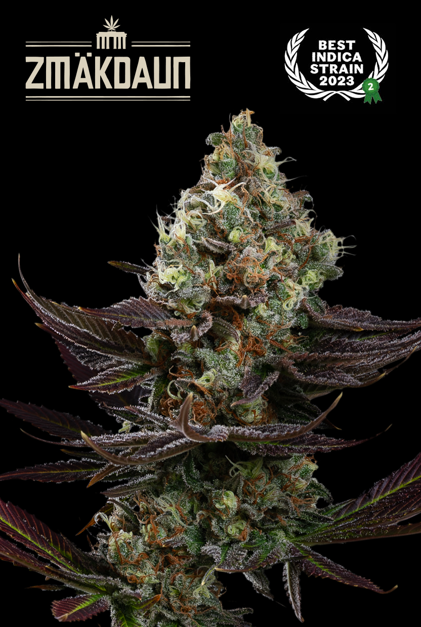 Zmakdaun- Fem-2025