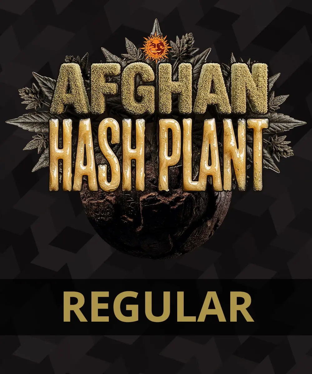 __afghan-hash-plant-regular_circle_new_21_747633