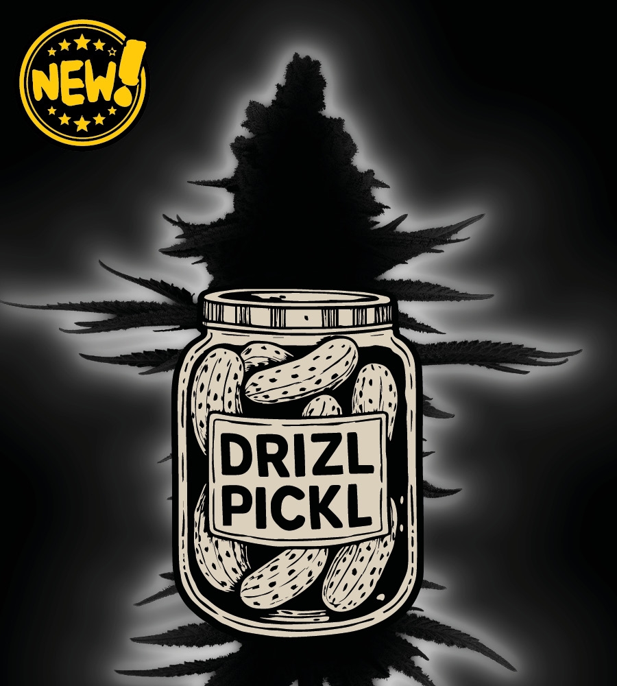 new_Drizl-Pickl-prod-pic.jpg