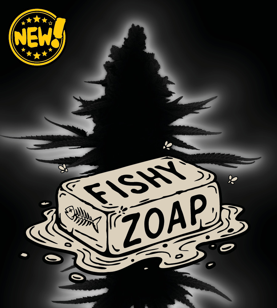 new_fishy-zoap-prod-pic (1)