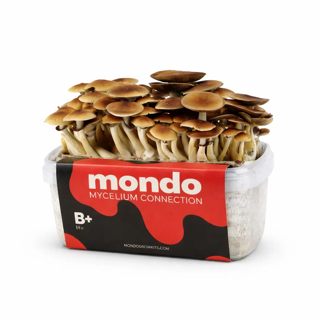 Mondo B+ Grow Kit 1200ML