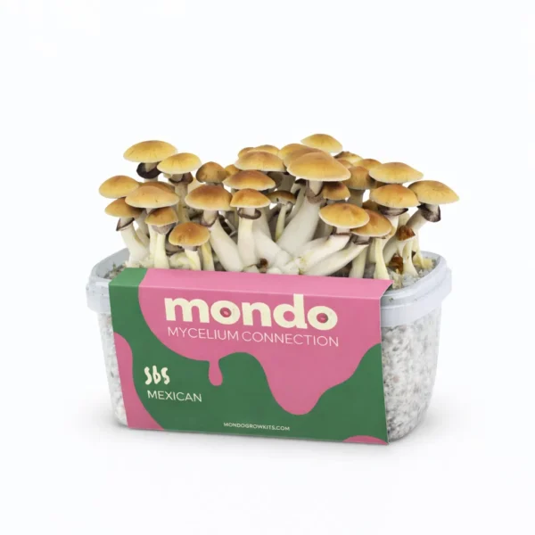 Mondo Mexicana Grow Kit 100% Mycelium 1200ML