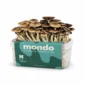 Mondo PES Hawaii Grow Kit 100% Mycelium 1200ML