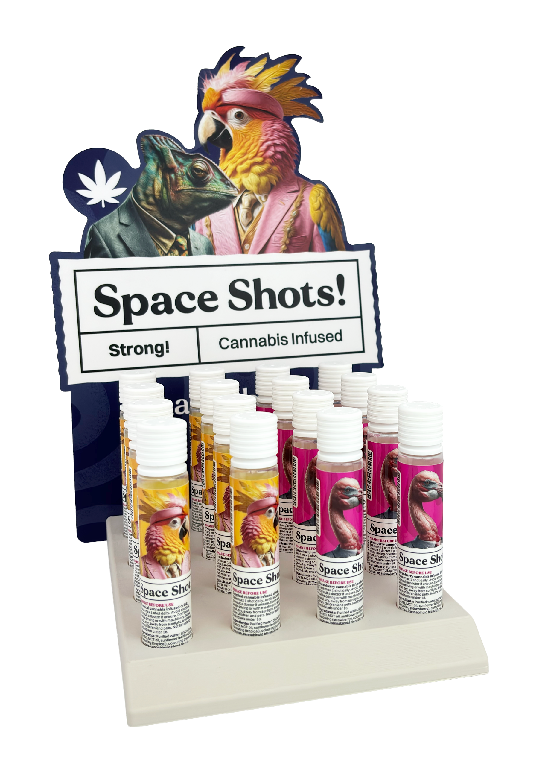 Space Shots Display