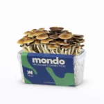 Mondo Thai Grow Kit 100% Mycelium 1200ML