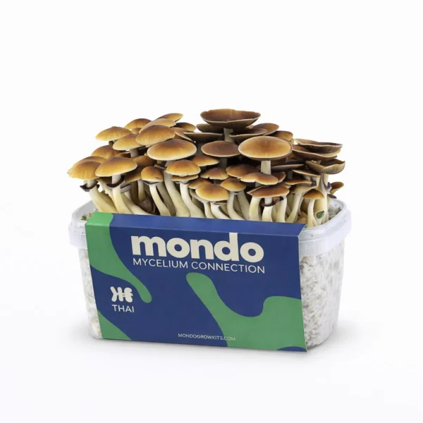 Mondo Thai Grow Kit 100% Mycelium 1200ML Mondo Thai Grow Kit 100% Mycelium 1200ML